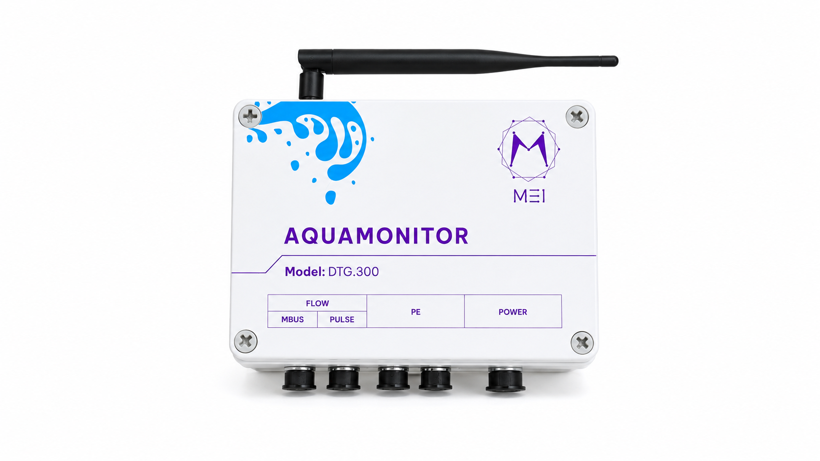 AQUAMONITOR -  DTG.300